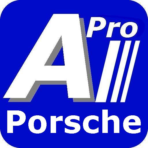 Diagnosis Porsche